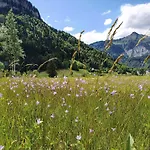 Gesundhotel Bad Szálloda Reuthe