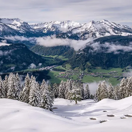 Hotel Gesundhotel Bad 4*