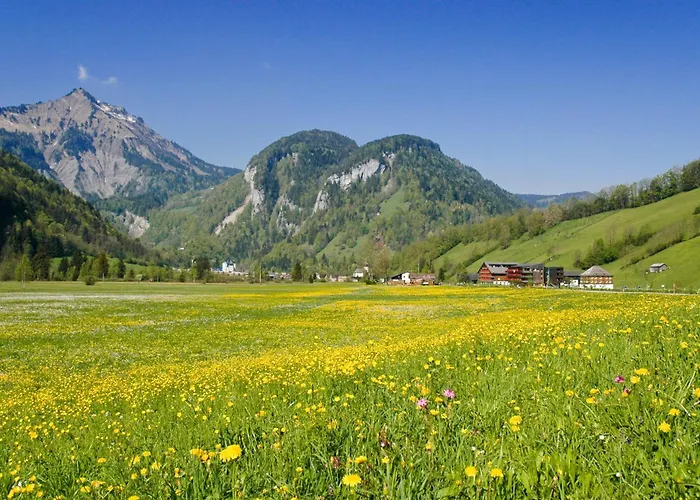 Hotel Gesundhotel Bad