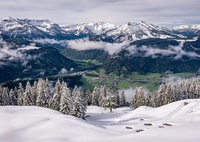 Hotel Gesundhotel Bad 4*